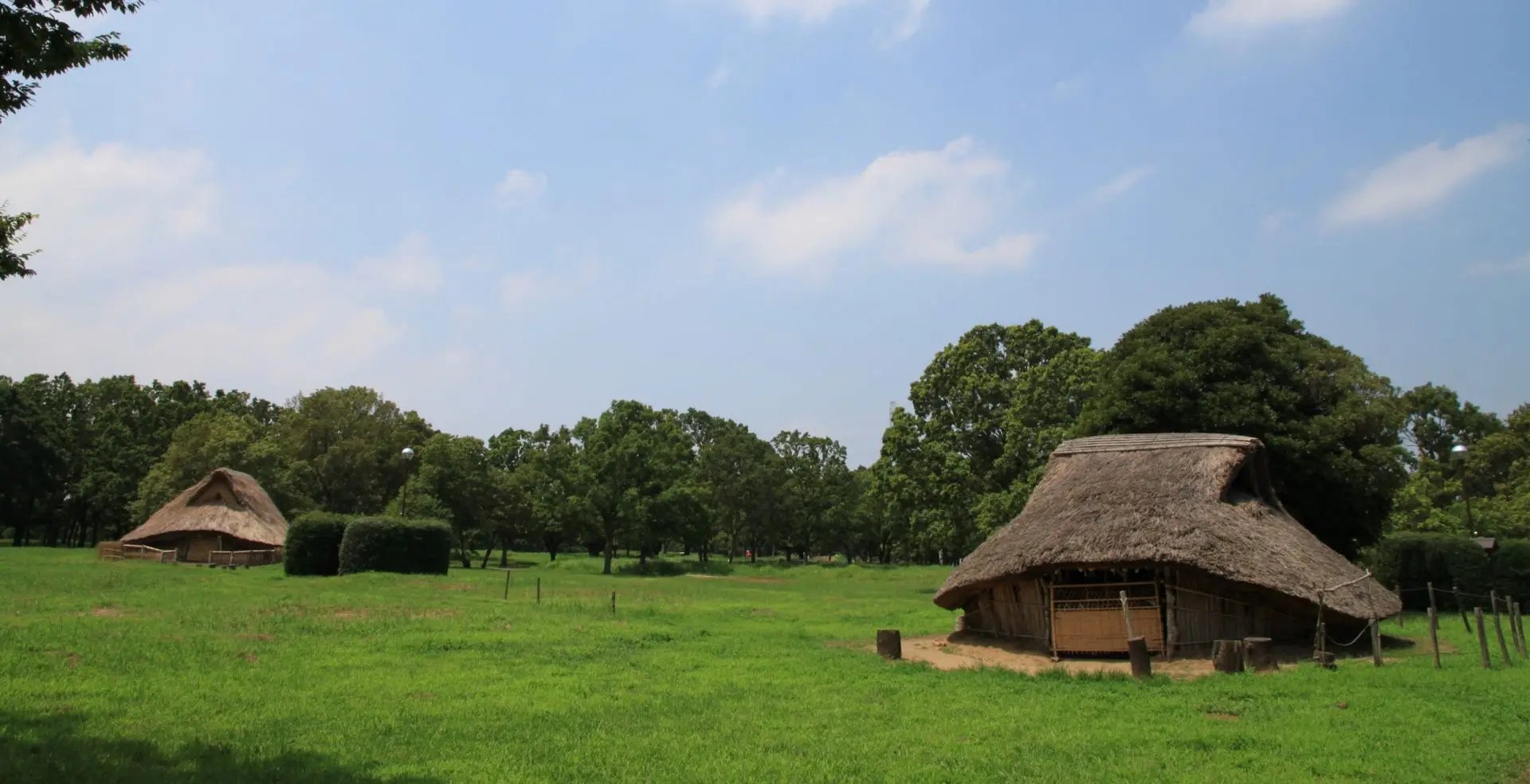 🏛️ 치바 시립 가소리 패총 박물관(지바 시리쓰 가소리 가이즈카 하쿠부쓰칸) 이미지 5